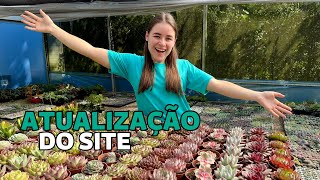 SUCULENTAS DA NOSSA LOJA ON-LINE | Greenhouse Suculentas