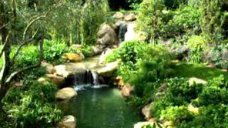 Koi pond waterfall