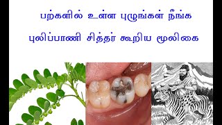 பல்லில் உள்ள புழுக்கள் நீங்க புலிப்பாணி சித்தர் கூறிய மூலிகை