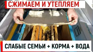 Сжимаем и утепляем слабые семьи + корма + вода