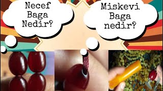 NECEF BAGA NEDİR? MİSKEVİ BAGA NEDİR?