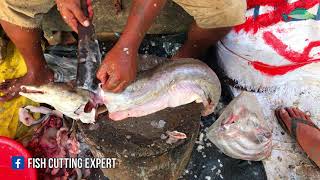 Big eel fish cutting & chopping into pieces at Bangladesh fish market