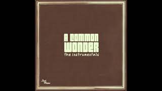 Stevie Wonder & Common - Love Is Real (Bonus Track) (Prod. Amerigo Gazaway)︱A Common Wonder