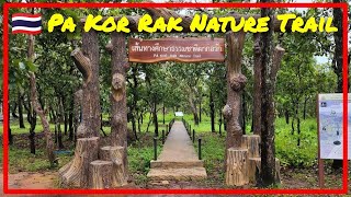 🇹🇭 Forest Bathing at Pa Kor Rak Nature Trail : Chaiyaphum 🌷