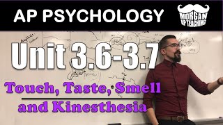 AP Psychology - Units 3.6-3.7 - Chemical & Body Senses: Touch, Taste, Smell, & Kinesthesia