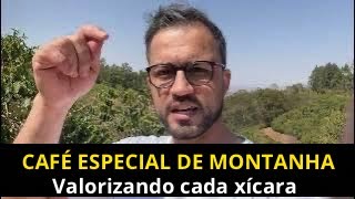 Café Especial de montanha : valorizando cada xícara