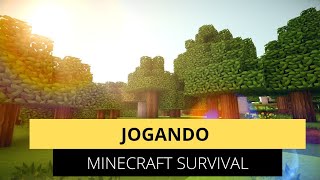 Jogando Minecraft Survival