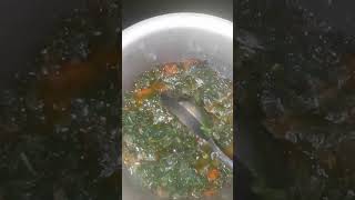 Palak Saag Recipe