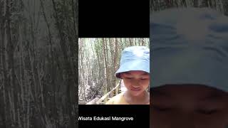 Wisata Edukasi Mangrove Teluk Pangpang