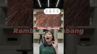 ⚠️EDISI BELAJAR KOSAKATA: MASALAH RAMBUT⚠️#lesbahasamandarin #kursusmandarinonline #chineselanguage