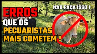 ERROS QUE OS PECUARISTAS MAIS COMETEM /  NÃO FAÇA ISSO !