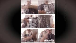 Happy Birthday Accordion Style by Miroslav Nisic