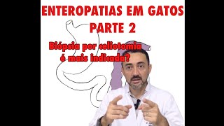 DEONÇA INTESTINAL INFLAMATÓRIA E LINFOMA ALIMENTAR EM GATOS: PARTE 2