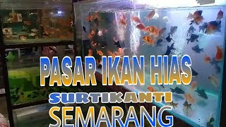 PASAR IKAN HIAS SURTIKANTI SEMARANG BANJIR KANAL BARAT