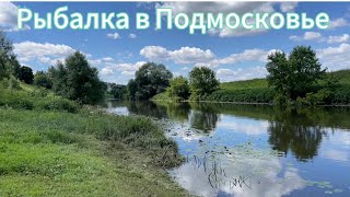 Рыбалка в Подмосковье. Красоты Домодедово. Где ловить карася?