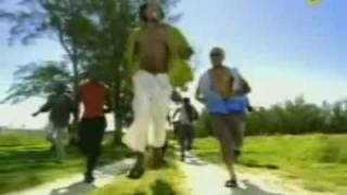 Baha men-Who let the dogs out (official video)