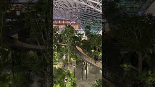 Doha Hamad Airport garden | Qatar #travel #airport #garden