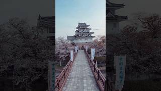 A ÉPOCA MAIS BONITA PARA FAZER TURISMO NO JAPÃO - PRIMAVERA | SAKURA 🌸