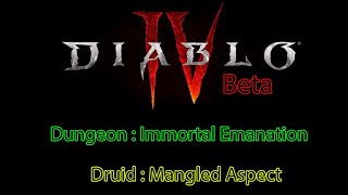 Diablo 4 Beta : Dungeon : Immortal Emanation