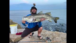 My First Snook Over 40" - Using Live Lady Fish While Braving The Jetties In Flip Flops