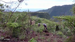 Le projet GAIAR sur les parcelles de la Forêt du Rempart - Reportage Terre d'ambitions 2023