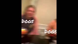 Smart dogs are cute and funny 2021#shorts