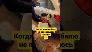 Когда автомобилю не понравилось топливо 😄 Приколы - Приколюхи - Автоприколы