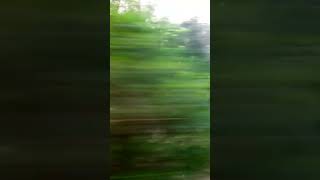 #samina_chowdhury #shortsvideo #nature #bd #election #2024elections #vacation