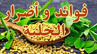 تعرف على فوائد و أضرار الحلبة