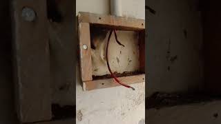 power board connection| home electrical wiring pakistan#electrician #trendingshorts #reelsvideo