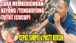 TIPS MEMBERSIHKAN TENGKUYUNG/KEYONG SEDOT_UNTUK DI OLAH MENJADI MENU MASAKAN KULINER SEA FOOD