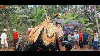 BARONG KUMBO !! TURONGGO SAKTI !! LIVE BANGUNSARI SROYO SONGGON