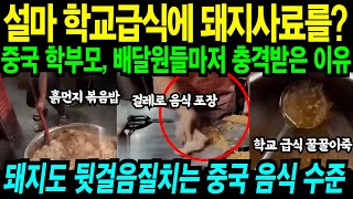 돼지들마저 뒷걸음질치는 중국 음식 수준에 중국사람들도 충격받은 이유