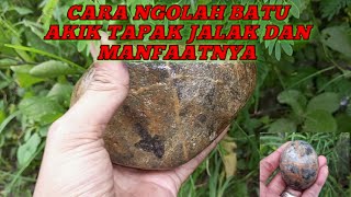 CARA NGOLAH BATU TAPAK JALAK DAN MANFAATNYA