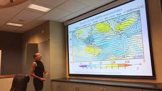 Summer Climate Briefing - 190118