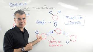 ÁGUA / COMPOSTOS INORGÂNICOS / BIOQUÍMICA / Prof. Baraúna