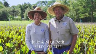 Seeds of Life - Our Story