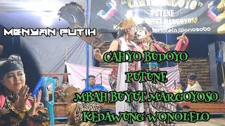 menyan putih cahyo budoyo