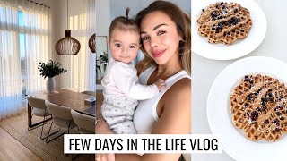 VLOG | Protein Waffles, Get Ready With Me & Nalia Is Scooting | Annie Jaffrey