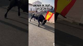 Toro antiespañol encierro Añover de tajo #encierro #toros #españa