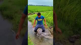 khet Me Saaf #shortsfeed #shortsvideo #shortsviral #short #status #shortsviral