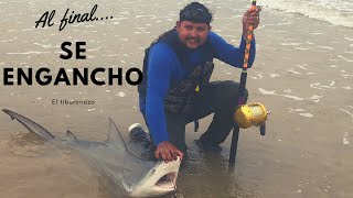 💥CUANDO PESCAS por primera vez UN TIBURON desde la playa ‼️ SHARK from the beach so began