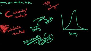 5 Enzymes