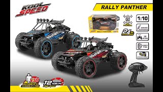 1:10 2.4G FULL FUNCTION R/C HIGH SPEED RALLY RACER