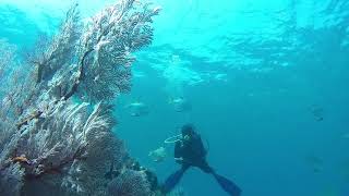 Amed 06 03 18 afternoon dive with Alit vid 9