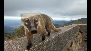 Serra do Rio do Rastro