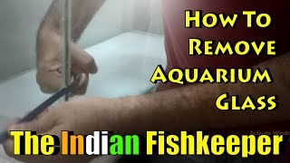 How To Remove Aquarium Glass At Home | DIY