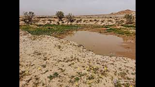 مصدر الجفاف تجاه النبي عليه الصلاة والسلام (الجزء الثاني و الاخير). حسن فرحان المالكي