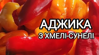 Сира аджика. Найкращий рецепт