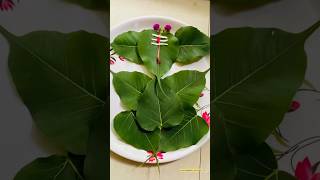 Our Garden 🪴 Peepal Leaves 🍃 Vinayagar || ss terracegarden and vlogs #garden #nature #plants